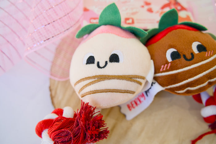 Two plush dog toys resembling berries with a red tassel on a light background.|Deux jouets en peluche pour chiens, ressemblant à des baies, avec un pompon rouge, sur un fond clair.