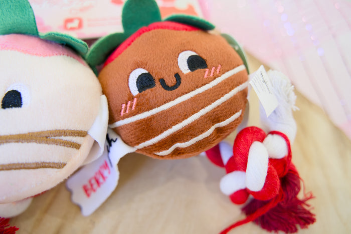 Rope dog toy resembling a cookie with a face, surrounded by other plush toys on a light background.|Jouet pour chien en corde ressemblant à un biscuit avec un visage, entouré d'autres jouets en peluche sur un fond clair.