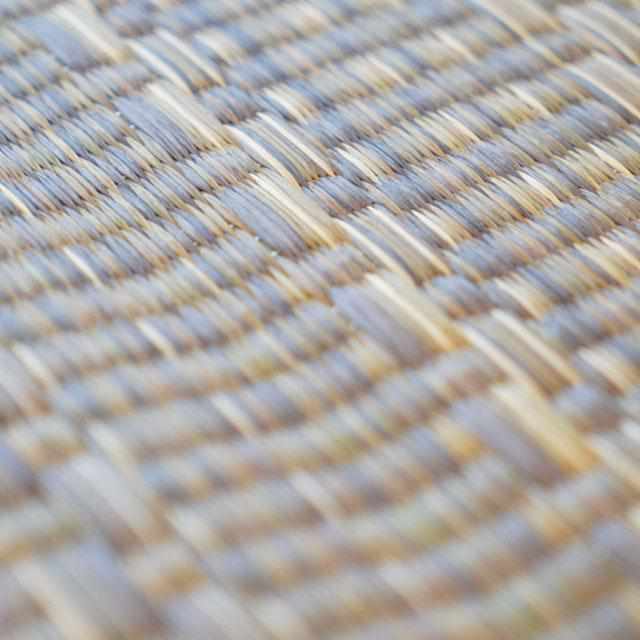 [TATAMI] RUSH RUG DENIM F JOY GREEN (S: 191 X 191 CM, L: 191 X 250 CM) | IKEHIKO | TATAMI