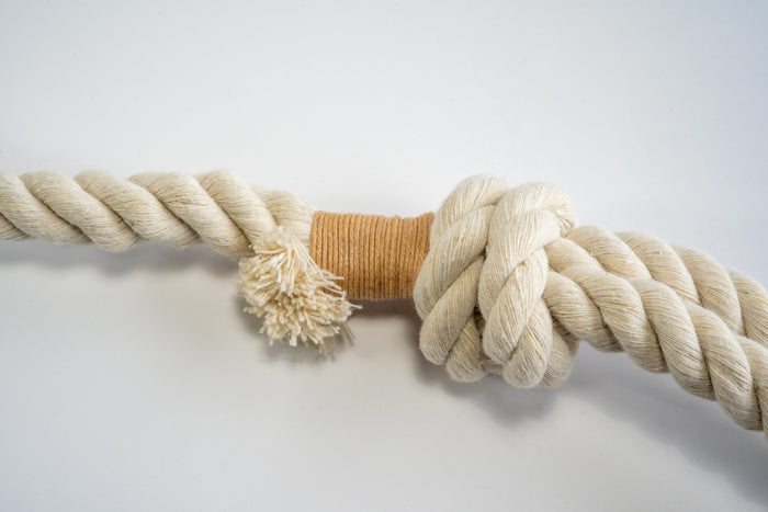 Close-up of dog leash handle clip. | Gros plan de l'attache de la poignée de la laisse pour chien.