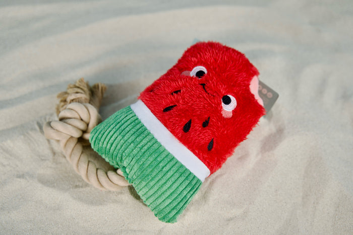 Watermelon dog toy with rope handle lying on a sunny sandbank.|Jouet pour chien en forme de pastèque avec corde, posé sur un banc de sable ensoleillé.