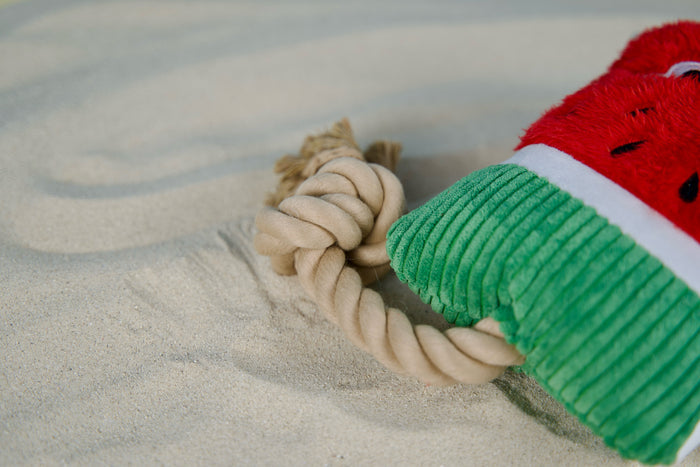 Plush squeaky watermelon toy for dogs, placed on beach sand for a summer vibe.|Jouet en peluche pour chien en forme de pastèque, sur le sable de plage pour une ambiance estivale.
