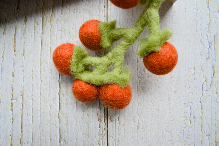 Close-up view of dog and cat toys shaped like a cluster of cherry tomatoes.|Vue rapprochée des jouets pour chiens et chats en forme de  grappe de tomate cerise.
