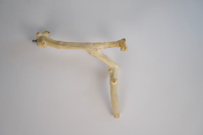 Coffee wood bird perch with metal attachment.|Perchoir pour oiseaux en bois de caféier avec attache métallique.