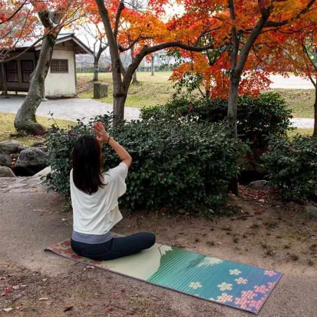 [YOGA MAT] NATURAL TATAMI YOGA MAT - SAKURA FUJI (60 ÁE180CM) | TATAMI