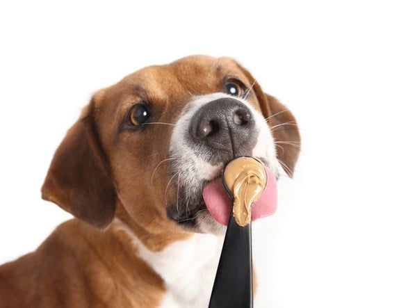 Yummy Peanuts
